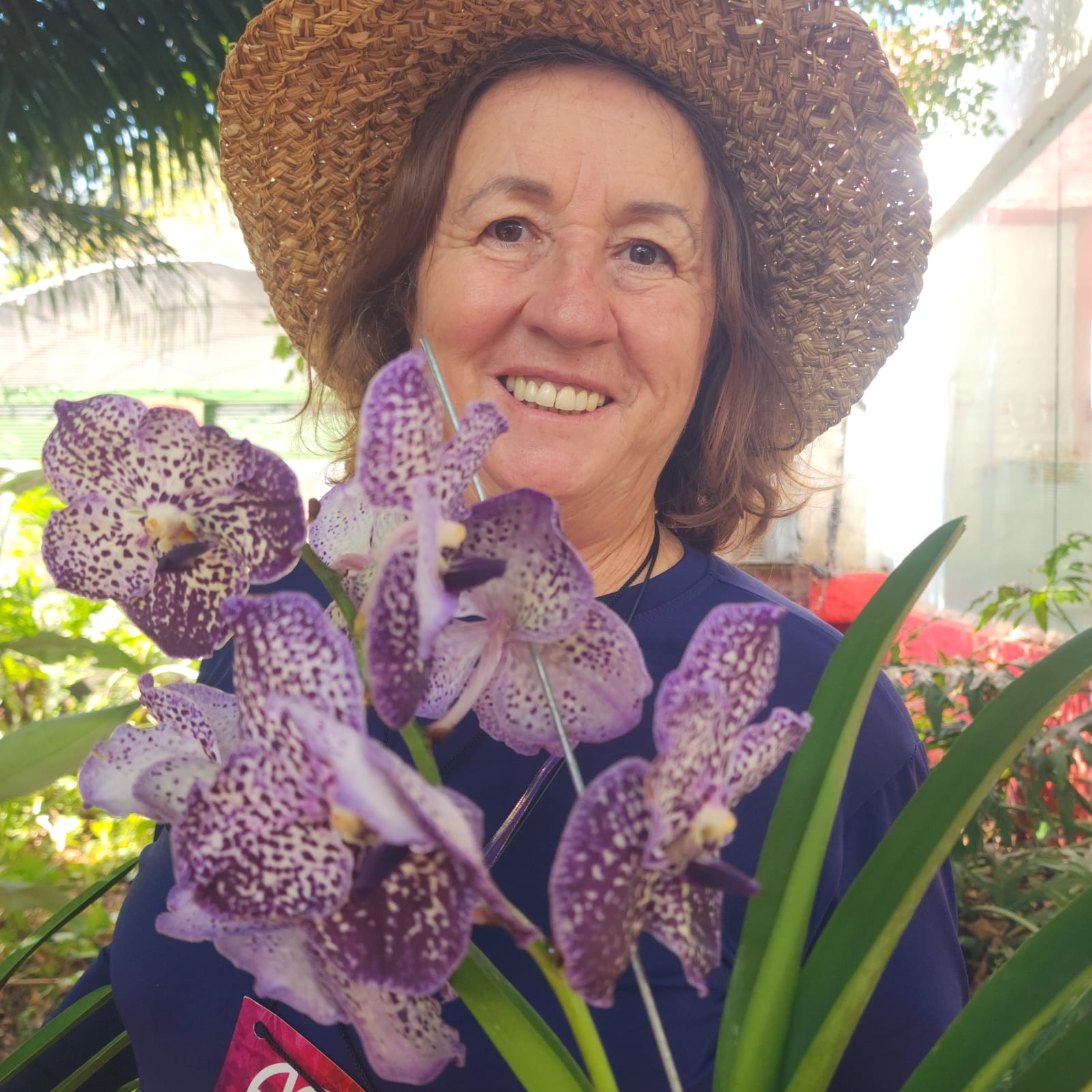 VANDA | ORQUÍDEA ROXA - PLANTA ADULTA FLORIDA