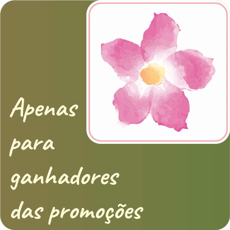 PREMIO DE PROMOÇÕES DA APOLONIA - Apolonia Grade