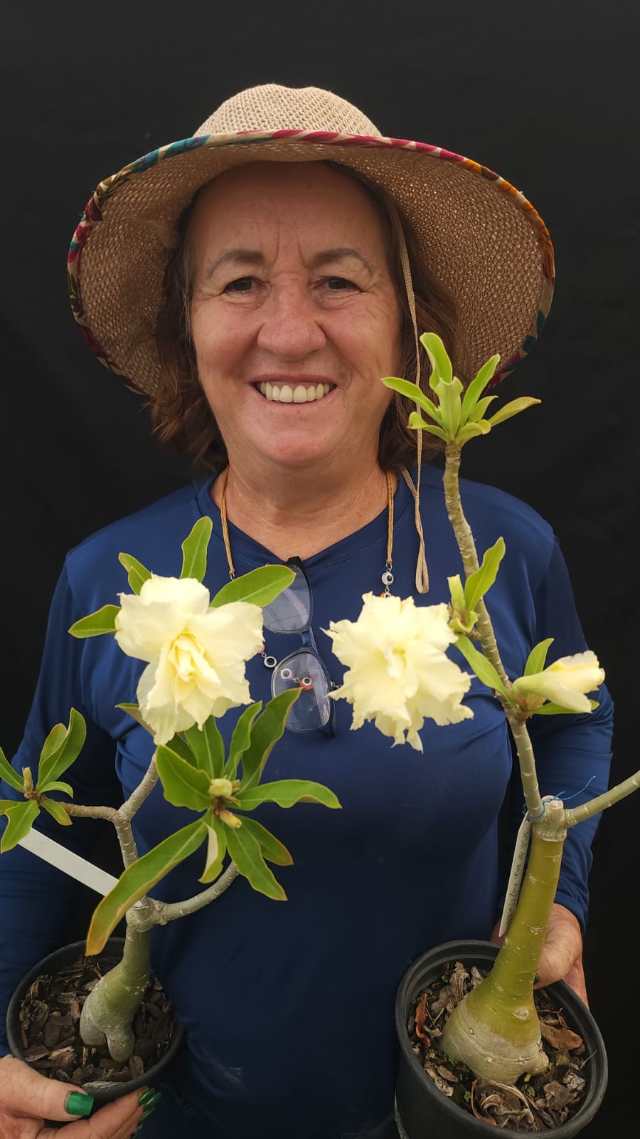 ROSA DO DESERTO ASA DE ANJO AMARELO LIMÃO | MULTIPÉTALAS - Apolonia Grade