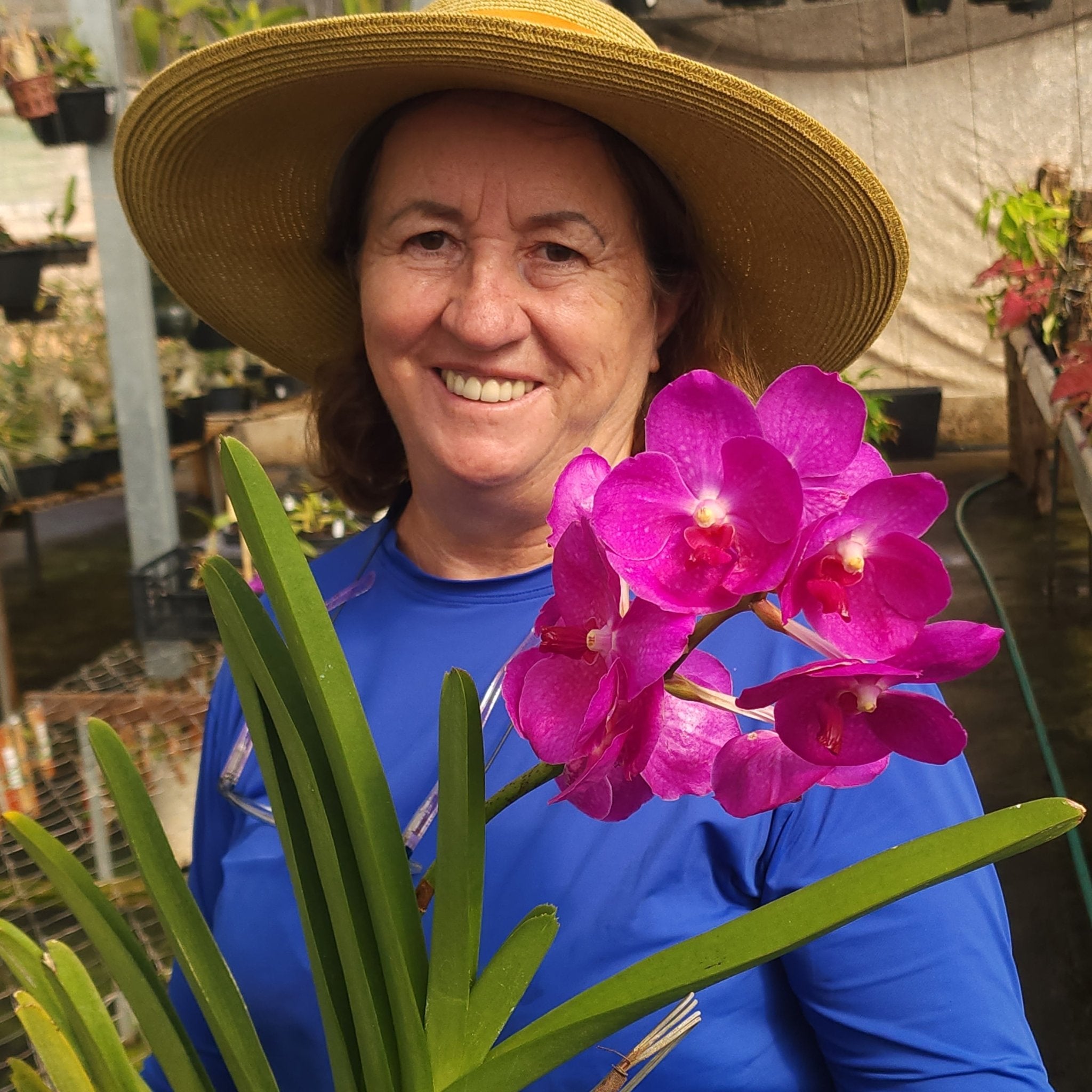 VANDA | ORQUÍDEA ROSA CENTRO BRANCO - PLANTA ADULTA FLORIDA - Apolonia Grade